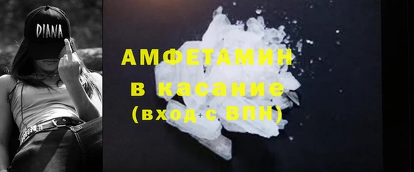 гидра Бердск