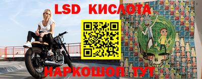 дмт Гусев