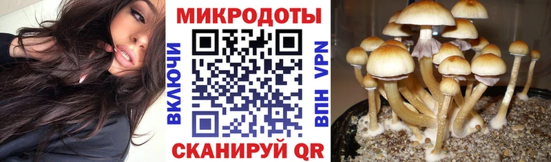 Псилоцибиновые грибы ЛСД  blacksprut зеркало  Кушва 