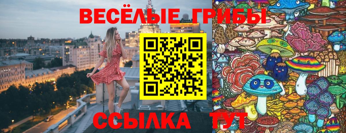 Псилоцибиновые грибы Psilocybine cubensis  Вход с VPN  как найти закладки  Кушва 