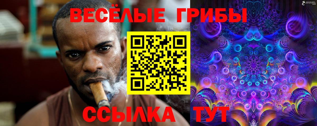 Галлюциногенные грибы мухоморы Кушва